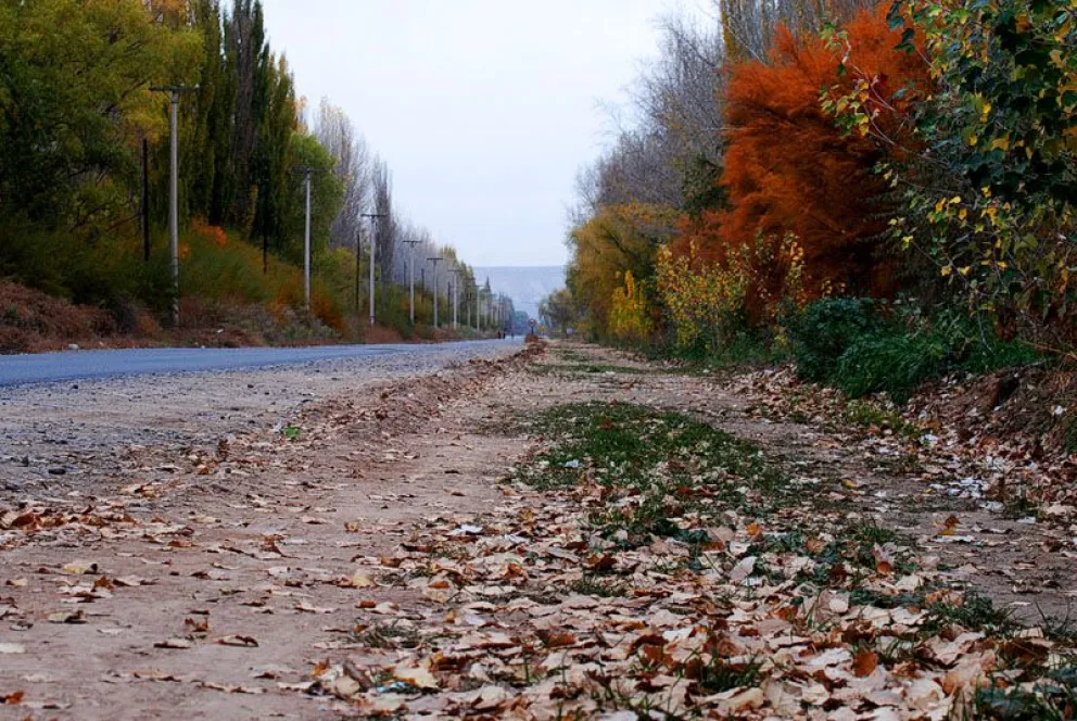 Viento y un poco menos de frío: ¿Cómo estará el tiempo esta semana?