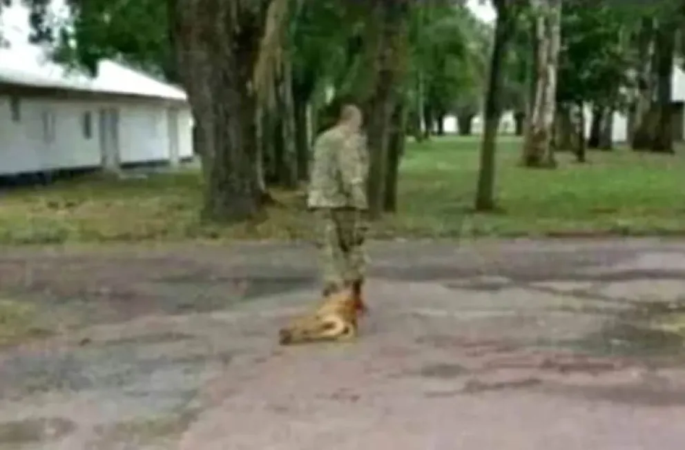 Fuerte repudio y movilización en contra de un suboficial que golpeó hasta la muerte a un perro callejero 