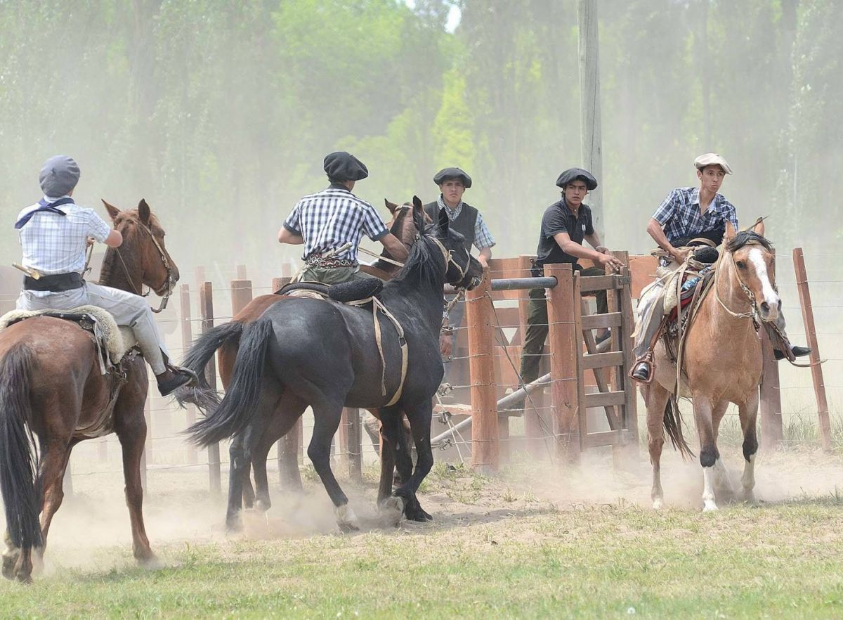 campo carlos soria