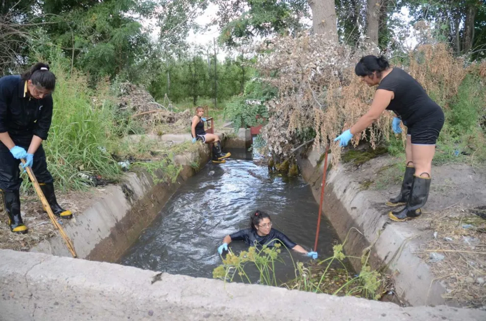 Trabajos de rastrillaje en el canal.