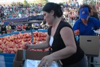 Continúa abierta la inscripción al Concurso de Embaladores de la Fiesta Nacional de la Manzana 
