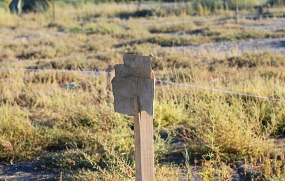 Este lunes el quirófano móvil estará en uno de los barrios más alejados de Roca