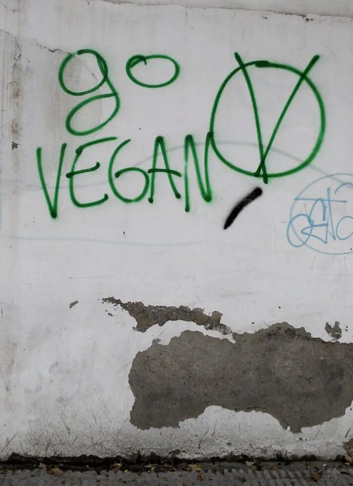 ¿Qué significa el grafitti “Go Vegan”?