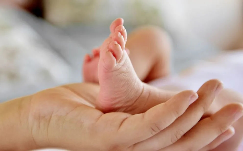 Semana del Prematuro en Roca: Habrá dos jornadas de actualización profesional y experiencias con familias 