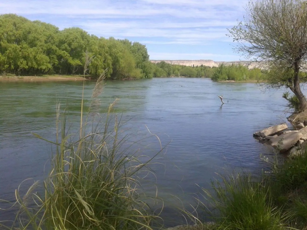 La UNRN estudió el estado del río Negro y estos son los resultados que ya anticiparon