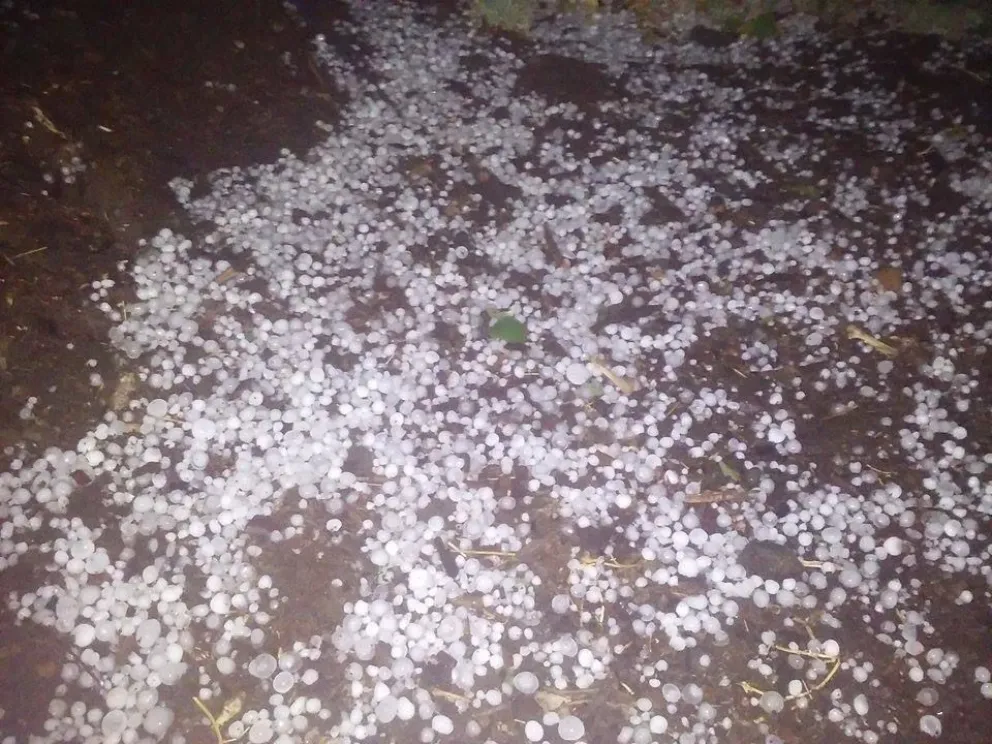 El temporal con granizo afectó producciones del Valle Medio y la Provincia inició relevamientos para evaluar el impacto. Foto: archivo