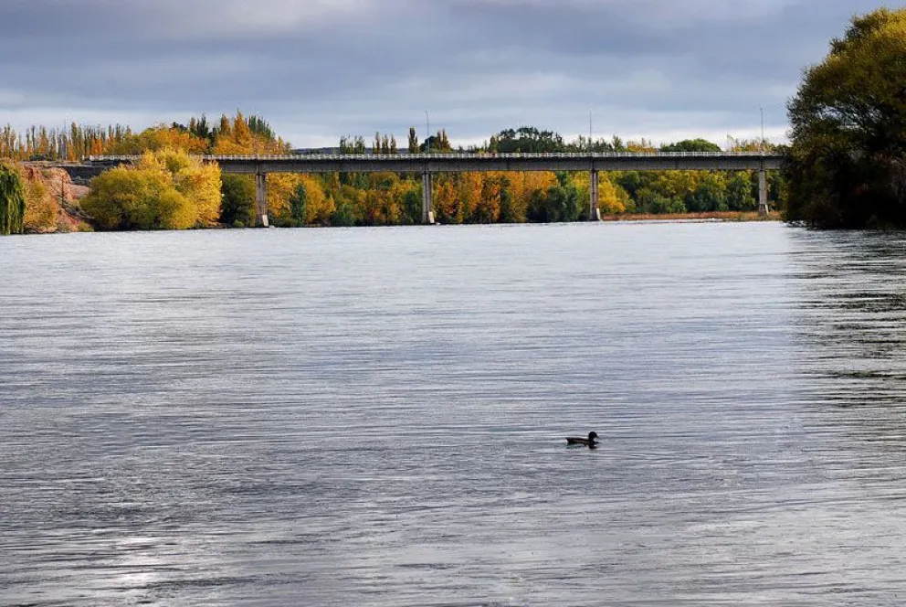 ¿Puente Carlos Peralta?