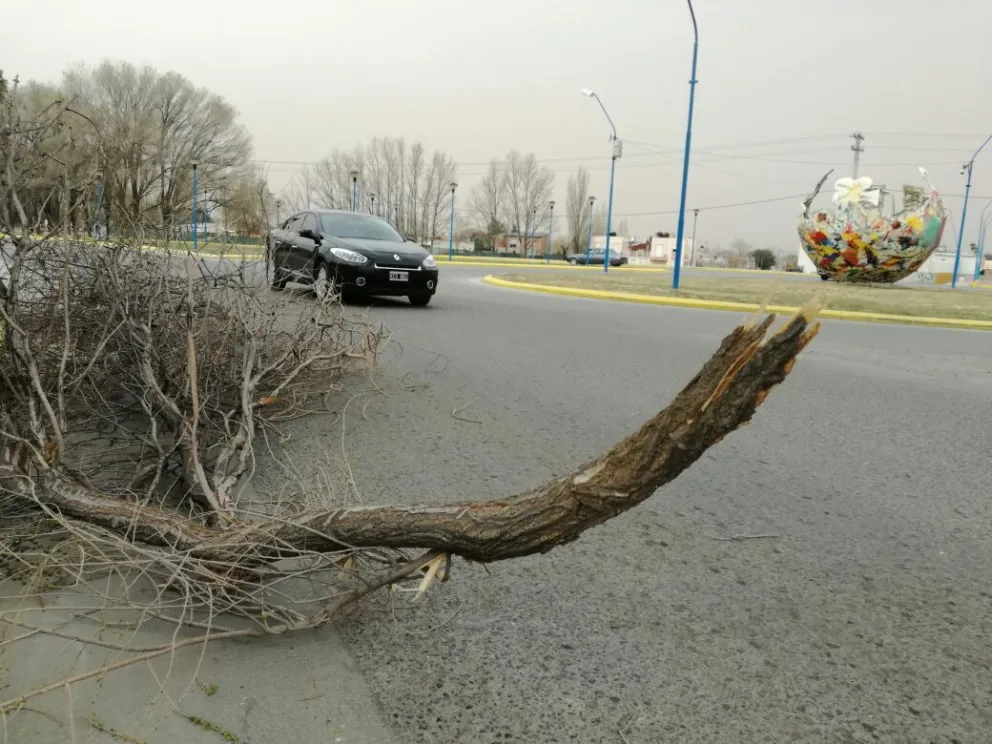 Continúan los fuertes vientos en la zona