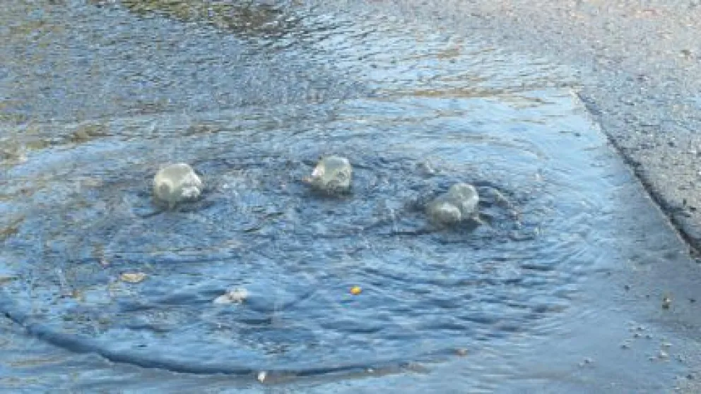 Un desborde cloacal inundó calles de Roca 