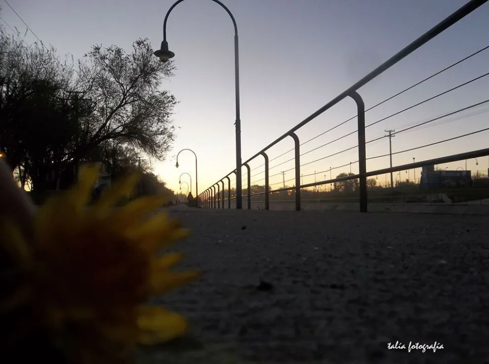 El cielo estará despejado durante el día. Foto: (Archivo)