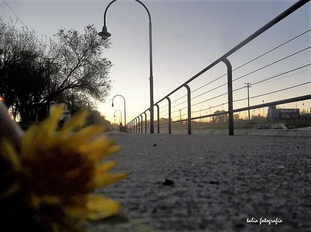 Clima: persiste el calor durante toda la semana y llegaremos a los 37 grados