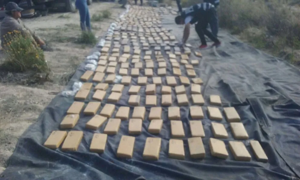 Último momento: Secuestro récord de marihuana en Roca
