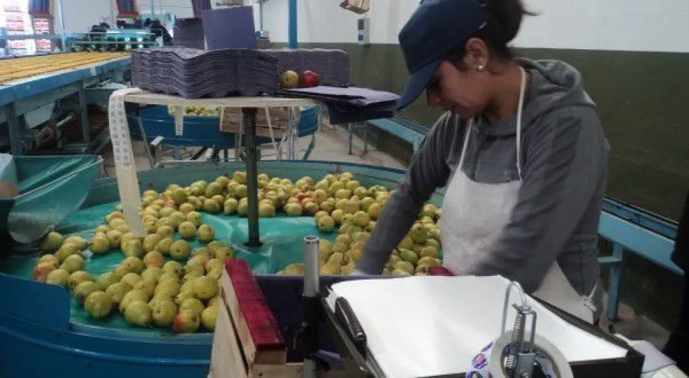 El trabajo de empacador demanda mucha precisión, prolijidad y velocidad. 