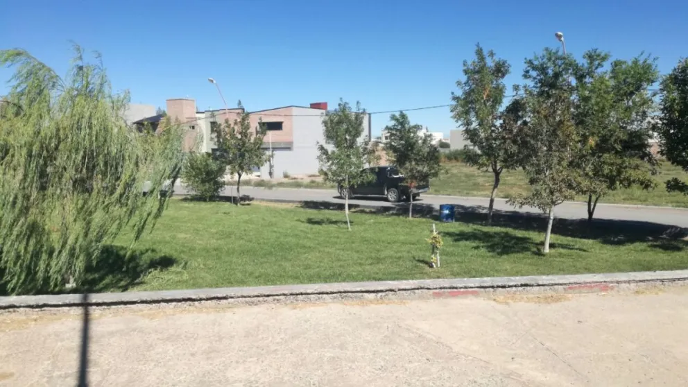Una pareja sufrio el robo de su moto cuando tomaba mates en la plaza 