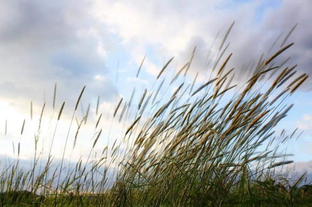 Para hoy se espera una mínima de 6° C y una máxima de 21° C.