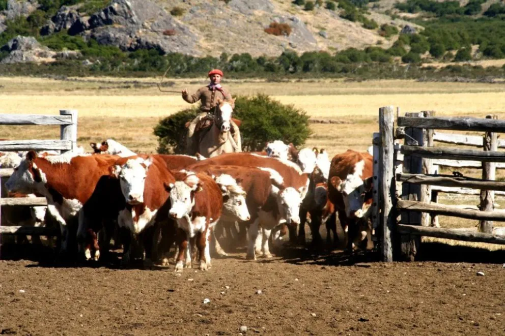 Productores patagónicos se niegan a cambios en la barrera sanitaria
