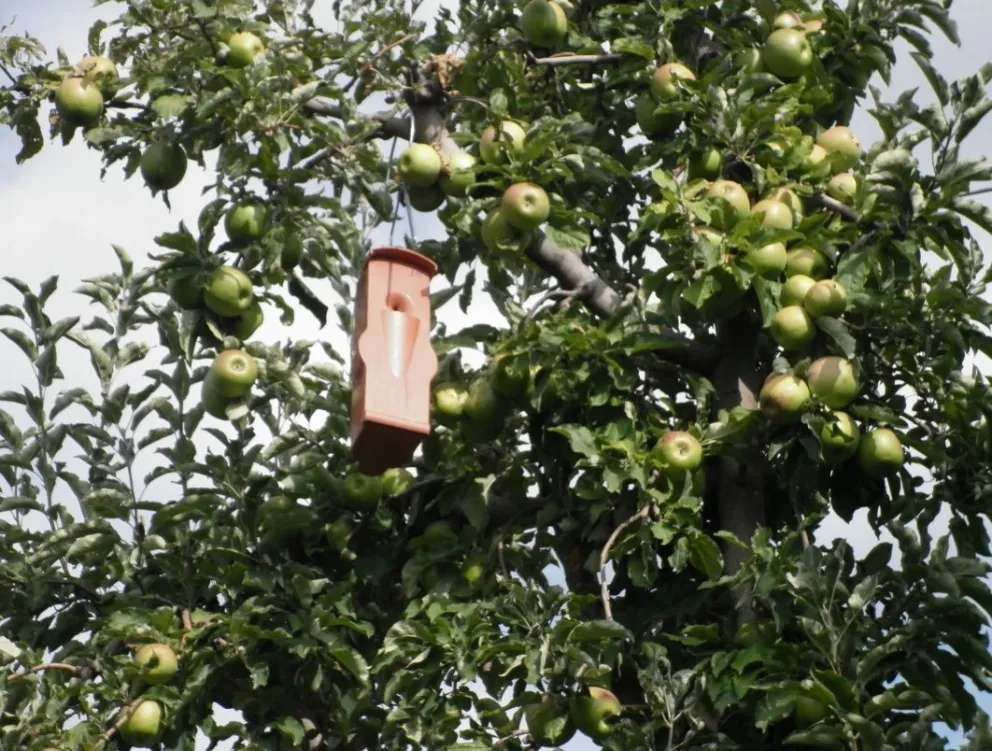 Se darán cursos de tres horas por jornada, información concreta y aplicable al día siguiente. Foto (ANR)
