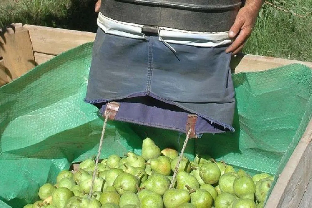 Los trabajadores de la fruta cerraron un acuerdo de aumento salarial
