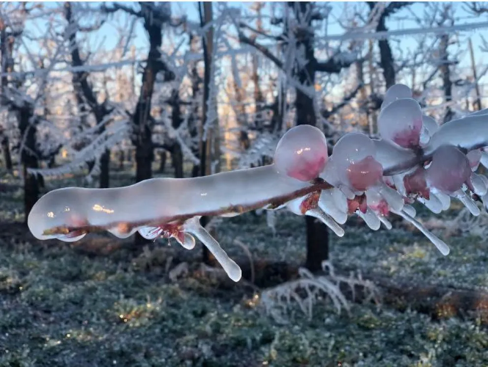 Clima: siguen las temperaturas bajo cero en el Alto Valle