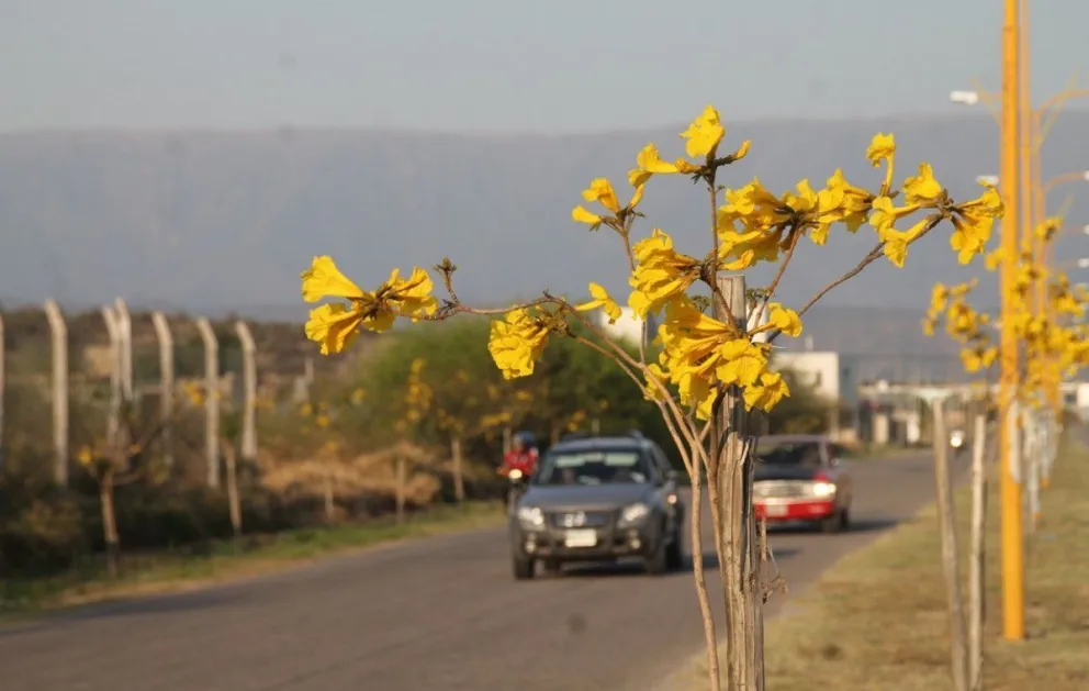 Esta semana se esperan temperaturas entre los 25 y 30 grados y viento. Foto (ANR).