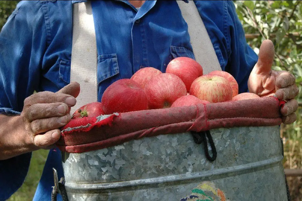 Se abrió la convocatoria al reconocimiento de productores en la FNM 2023