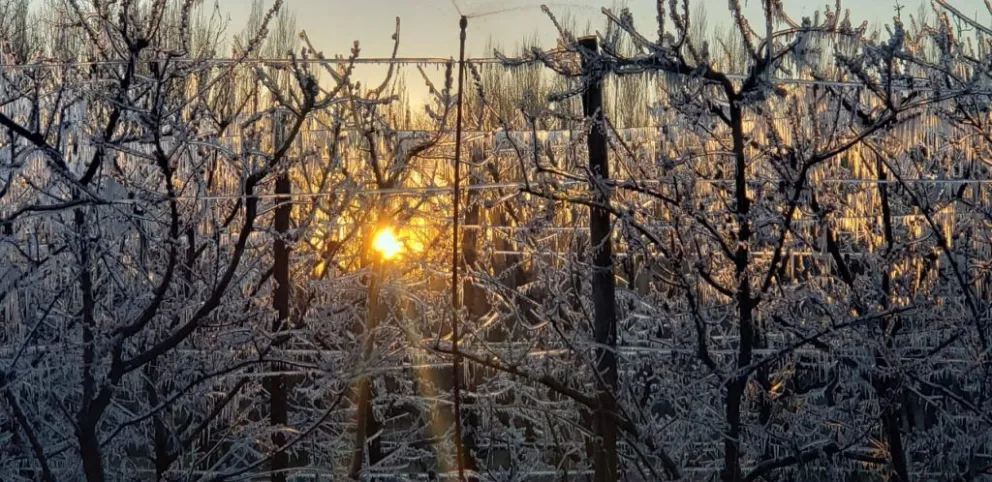 Clima: El mes de julio empieza con un leve ascenso de las temperaturas