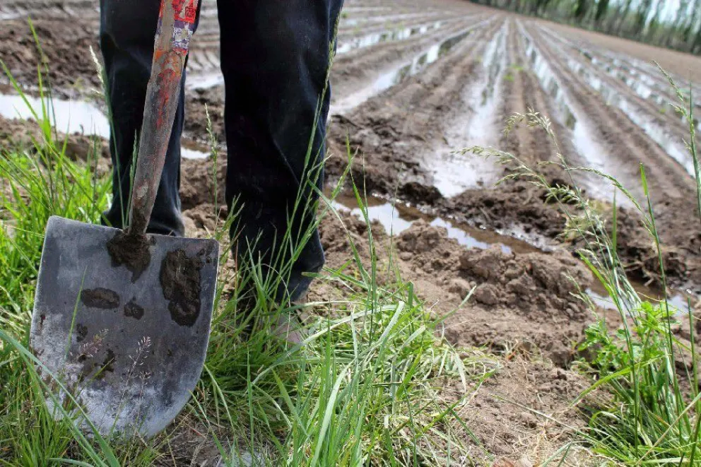 ¿Pensando en una carrera universitaria? Agronomía abre sus puertas para que la conozcan