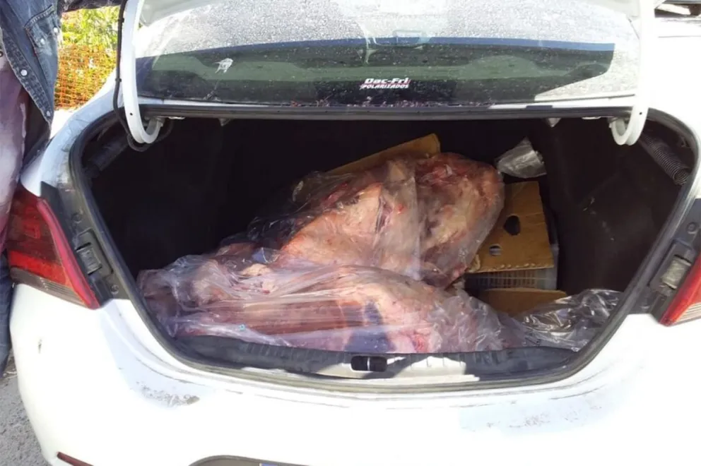 Un hombre de 75 años intentó pasar ilegalmente 120 kilos de carne vacuna por Roca 