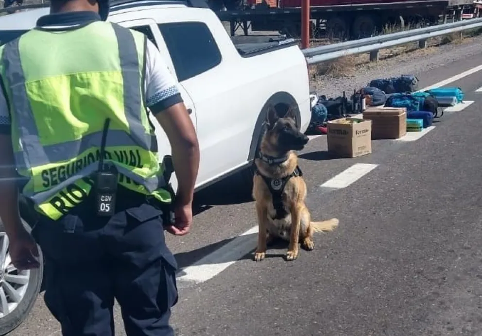 La mayor cantidad de denuncias por narcotráfico en la provincia surgen del Alto Valle