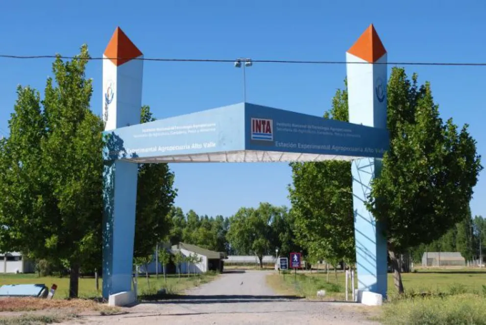 Faltan seis días para la Expo Productiva del INTA Alto Valle 