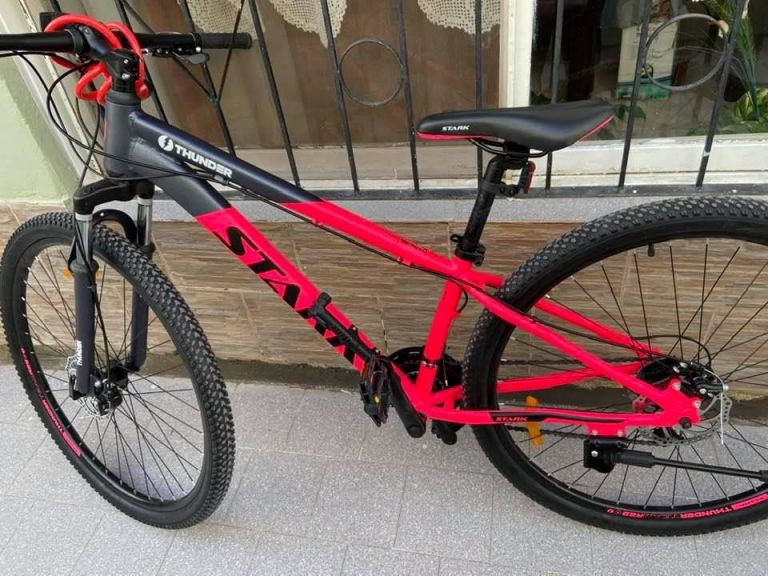 Doble denuncia por robos de bicicletas en Roca