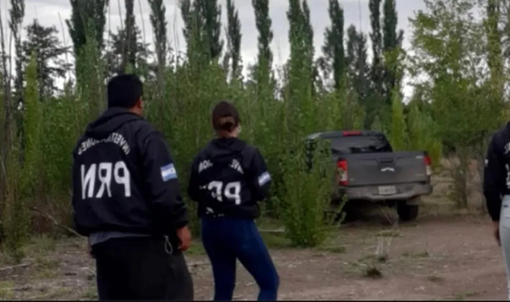 Hoy formularían cargos por homicidio culposo al conductor que atropelló ...