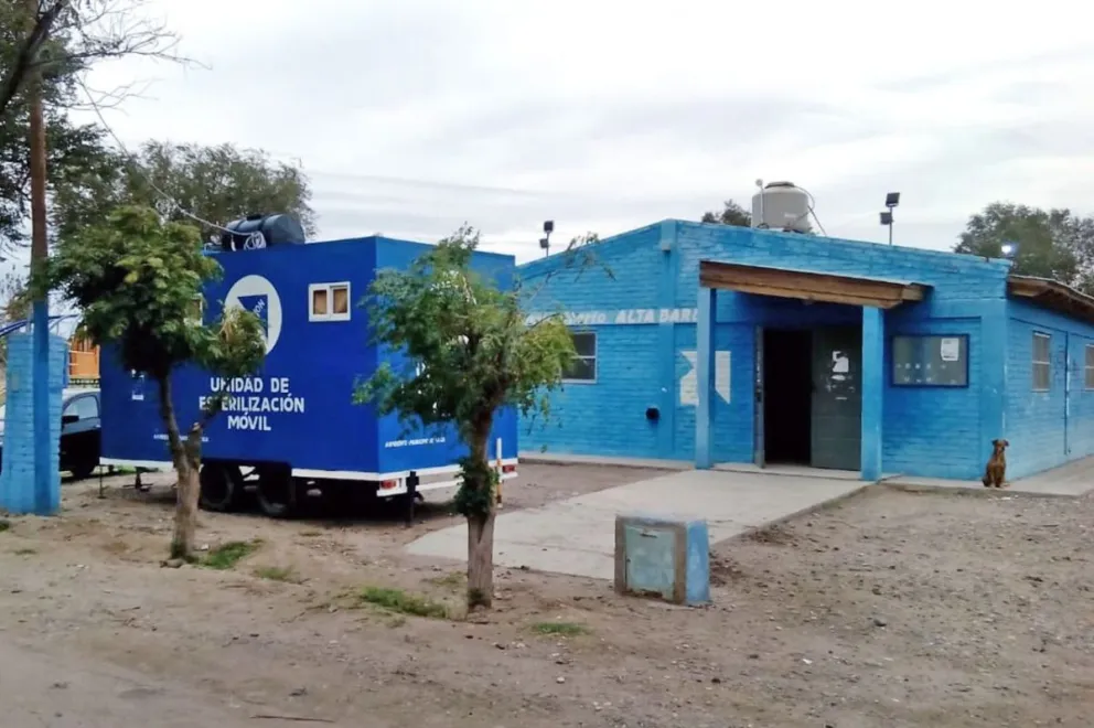 Tres quirofanos fijos y uno movil para castraciones de mascotas: Mirá como es el cronograma este año