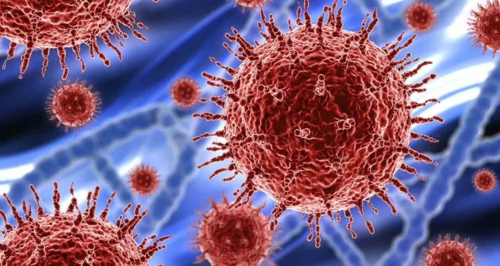  Coronavirus en Argentina: sin muertes, se reportaron 428 nuevos contagios este domingo