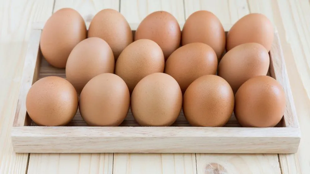 Salmonelosis: cómo prevenir una intoxicación típica del verano