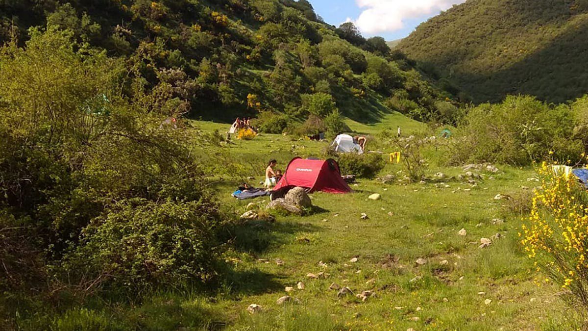 Se reunieron 200 nudistas en un monte a tener sexo y ahora buscan  desalojarlos | ANR :: Agencia de Noticias Roca - Diario online con noticias  e información de Roca.