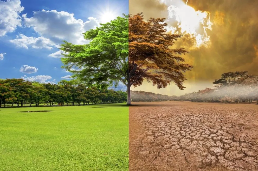 Cambio climático: la ONU advirtió que junio fue el mes más caluroso registrado a nivel mundial