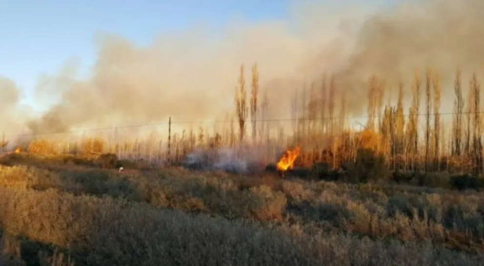 Los Bomberos Voluntarios solicitan a la comunidad extremar las precauciones ante las fuertes ráfagas de viento y el alto riesgo de incendios. Foto: Tania Domenicucci-ANR